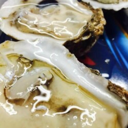 Apalachicola Oysters