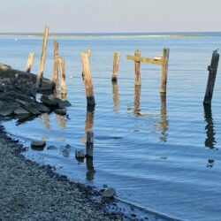 View from Lynn's Quality Oysters Raw Bar Eastpoint